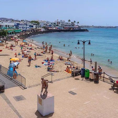 Daire 1 Linea Centro